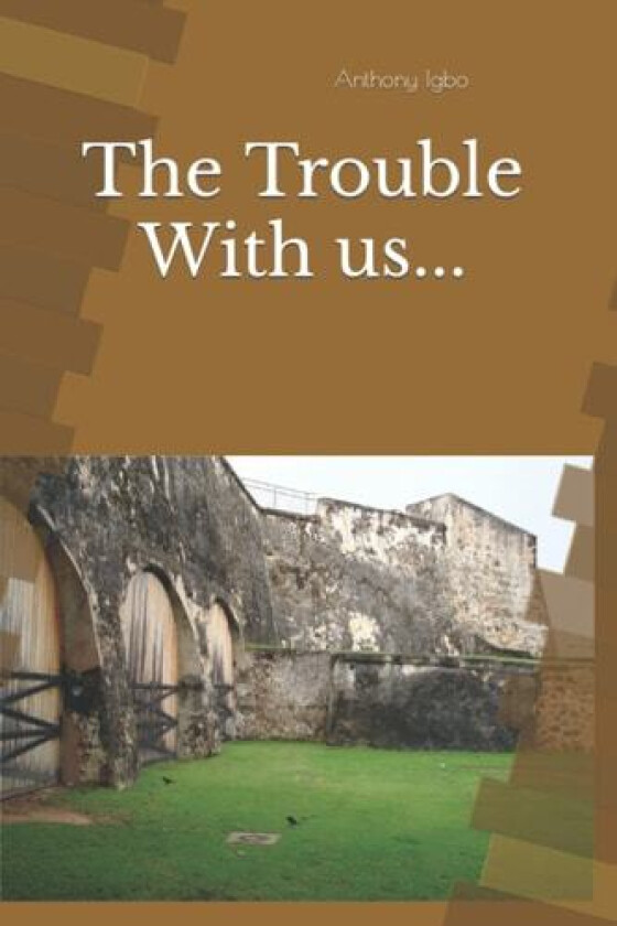The Trouble With us... av Anthony C Igbo (Paperback)