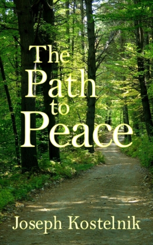 The Path to Peace av Joseph Kostelnik (Paperback)
