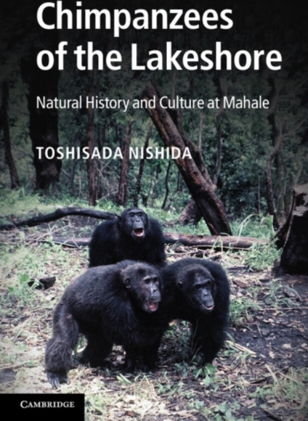 Chimpanzees of the Lakeshore av Toshisada Nishida (Hardcover)
