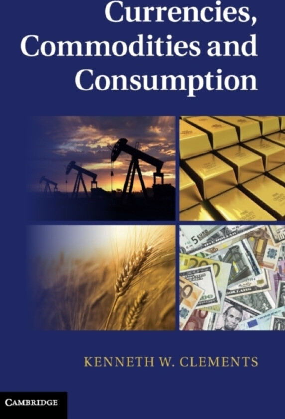 Currencies, Commodities and Consumption av Kenneth W. Clements (Hardcover)