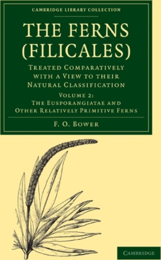 The Ferns (Filicales): Volume 2, The Eusporangiatae and Other Relatively Primitive Ferns av F.O. Bower (Paperback)