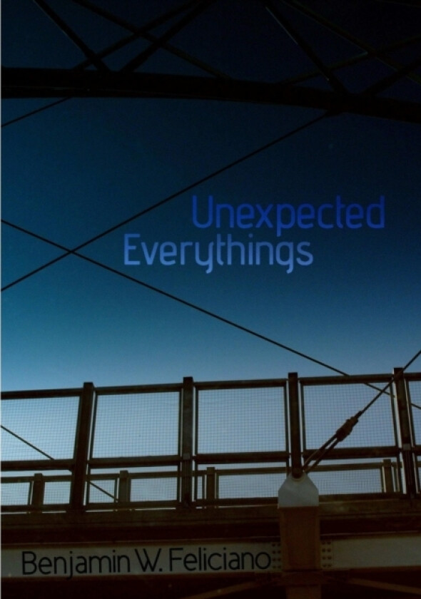 Unexpected Everythings av Benjamin Feliciano (Paperback)