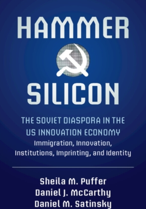 Hammer and Silicon av Sheila M. Puffer, Daniel J. McCarthy, Daniel M. Satinsky (Hardcover)