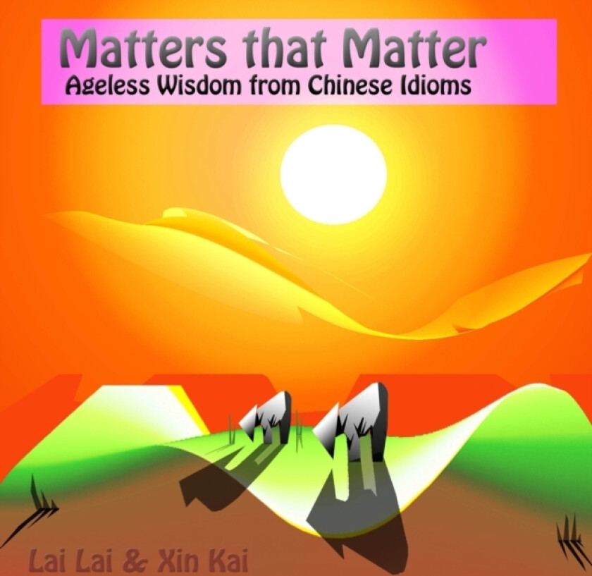 Matters that matter av Lai Lai, Jon Goh (Paperback)