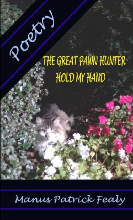 The Great Pawn Hunter - Hold My Hand av Manus Patrick Fealy (Paperback)