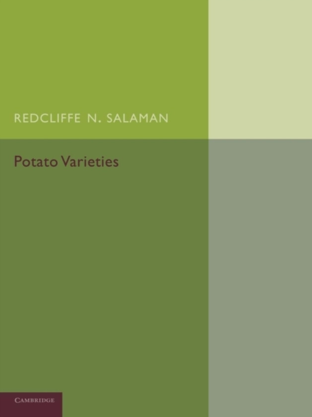 Potato Varieties av Redcliffe N. Salaman (Paperback)