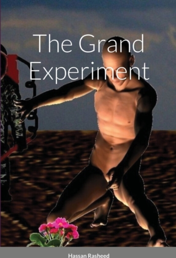The Grand Experiment av Hassan Rasheed (Paperback)