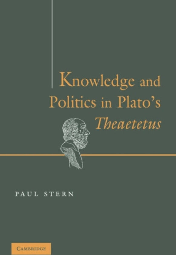 Knowledge and Politics in Plato's Theaetetus av Paul Stern (Paperback)
