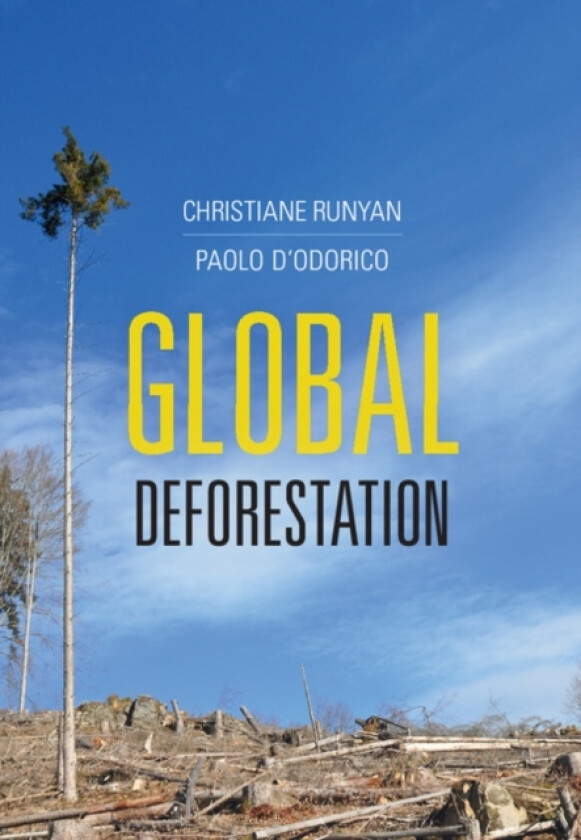Global Deforestation av Christiane Runyan, Paolo D'Odorico (Hardcover)