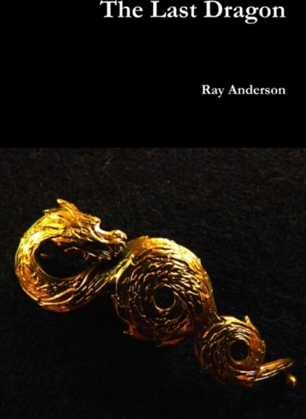 The Last Dragon av Ray Anderson (Paperback)