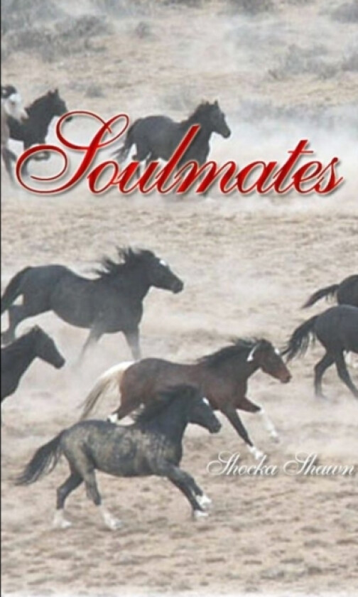 Soulmates av Shocka Shawn (Paperback)