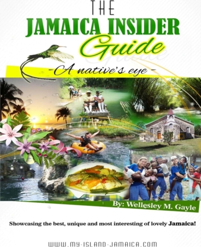 The Jamaica Insider Guide av Wellesley Gayle (Paperback)