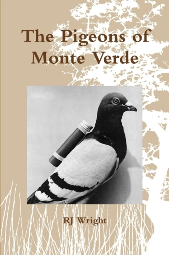 The Pigeons of Monte Verde av RJ Wright (Paperback)