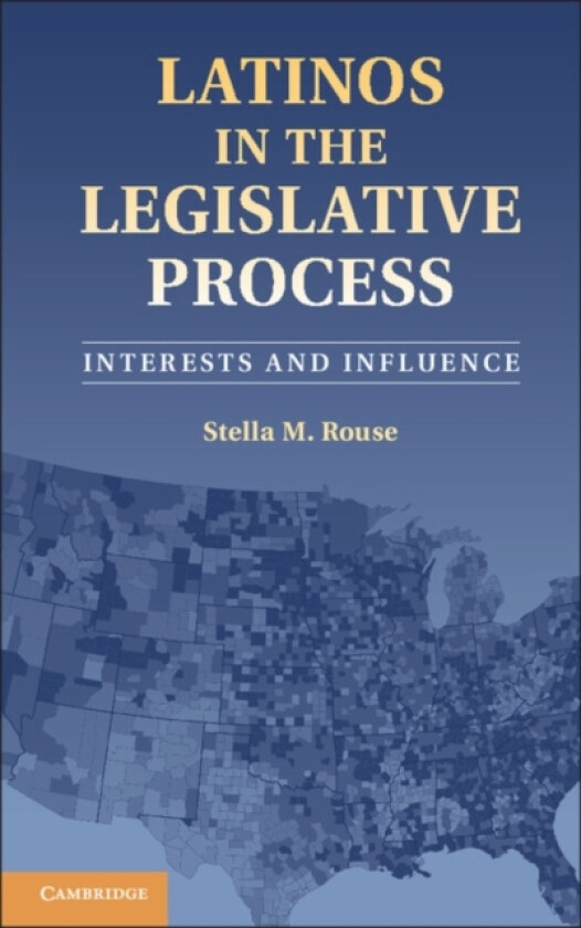 Latinos in the Legislative Process av Stella M. Rouse (Hardcover)
