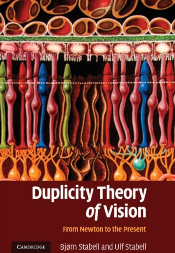Duplicity Theory of Vision av Bjørn Stabell, Ulf Stabell (Paperback)