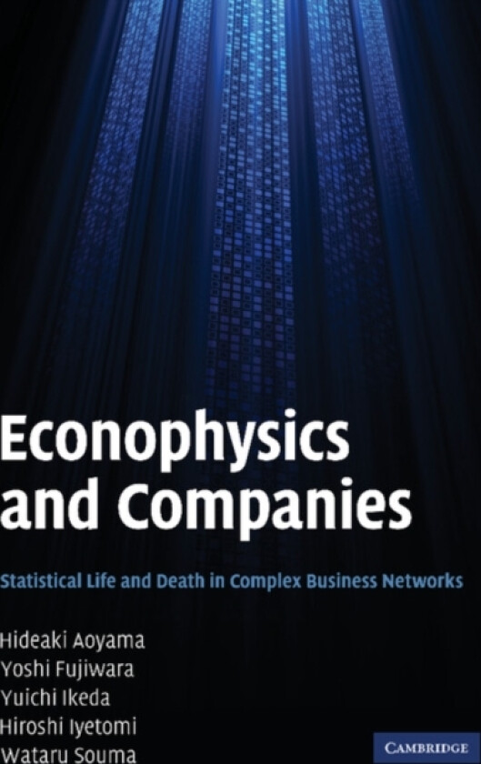 Econophysics and Companies av Hideaki Aoyama, Yoshi Fujiwara, Yuichi Ikeda (Paperback)
