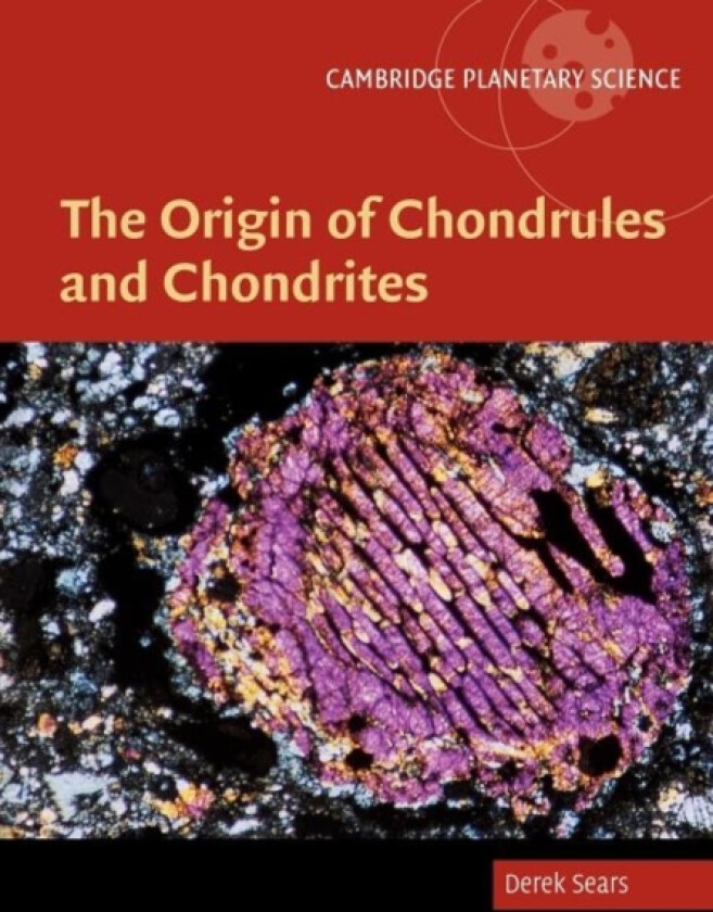 The Origin of Chondrules and Chondrites av Derek W.G. Sears (Paperback)