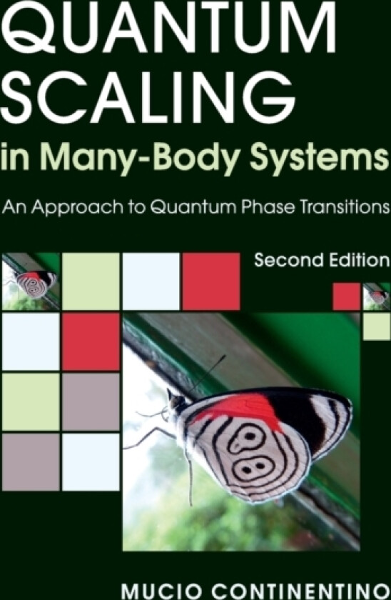 Quantum Scaling in Many-Body Systems av Mucio Continentino (Hardcover)