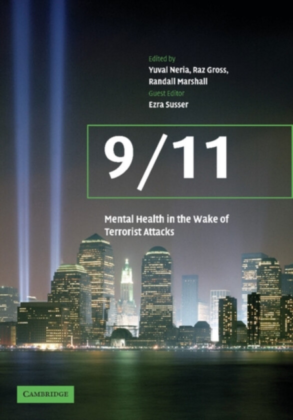 9/11: Mental Health in the Wake of Terrorist Attacks av Beverley Raphael (Paperback)