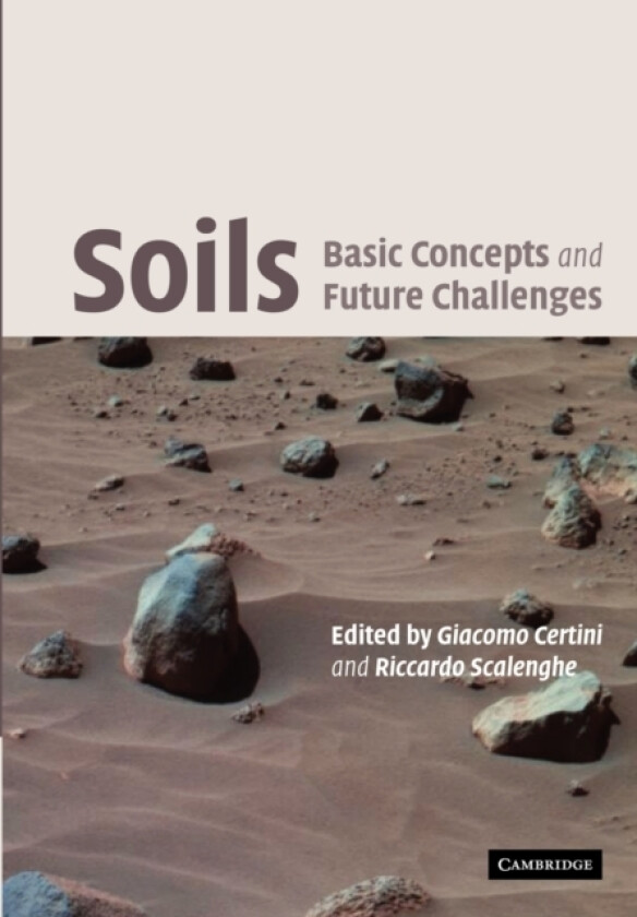 Soils: Basic Concepts and Future Challenges av Riccardo Scalenghe (Paperback)