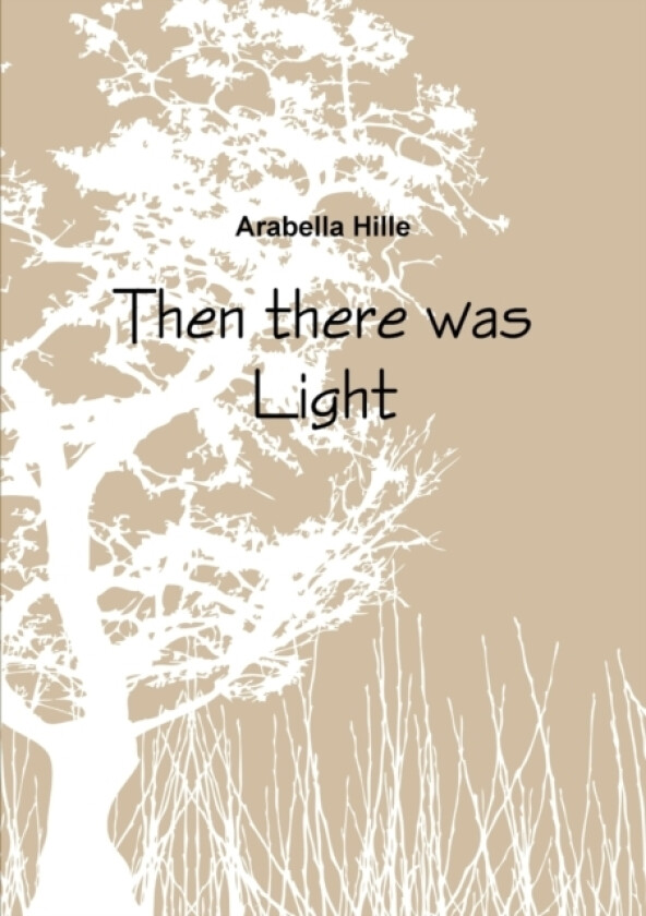 Then There Was Light av Arabella Hille (Paperback)