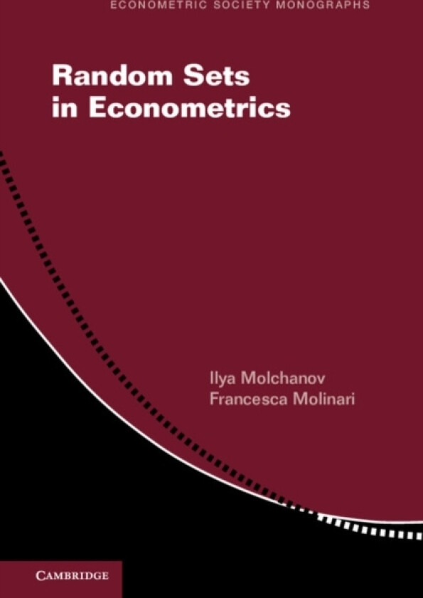Random Sets in Econometrics av Ilya Molchanov, Francesca Molinari (Paperback)
