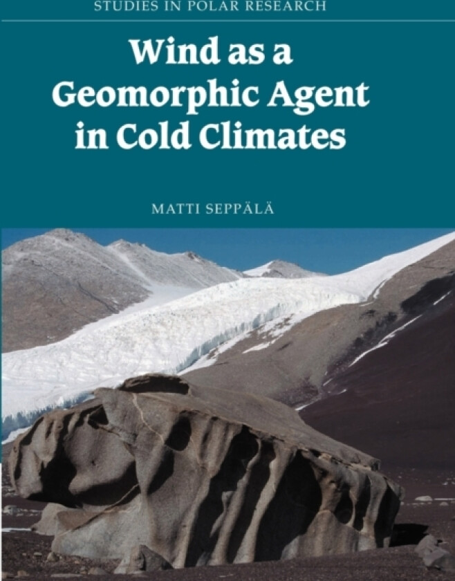 Wind as a Geomorphic Agent in Cold Climates av Matti Seppala (Paperback)