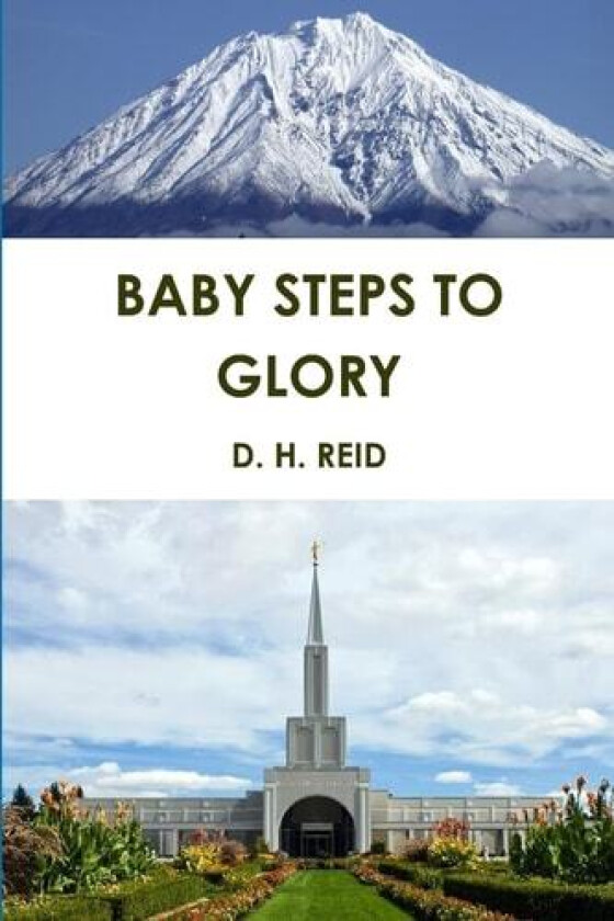 Baby Steps to Glory av D.H. REID (Paperback)