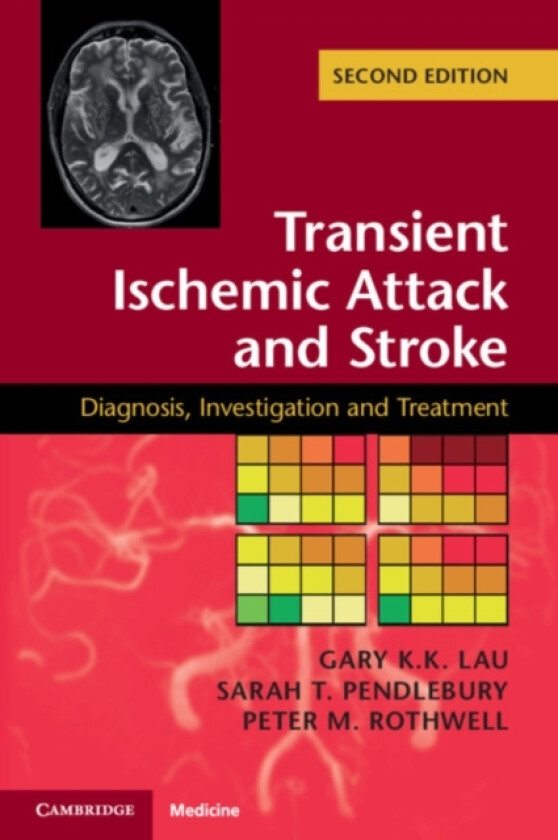 Transient Ischemic Attack and Stroke av Gary K.K. Lau, Sarah T. Pendlebury, Peter M. Rothwell (Paperback)