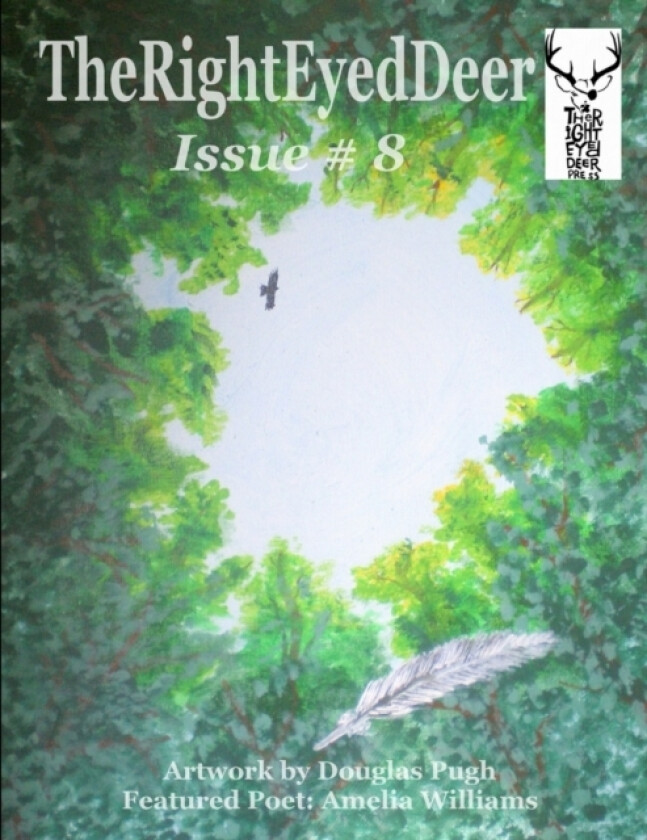 The RightEyedDeer - Issue 8 av The Righteyeddeer Press (Paperback)