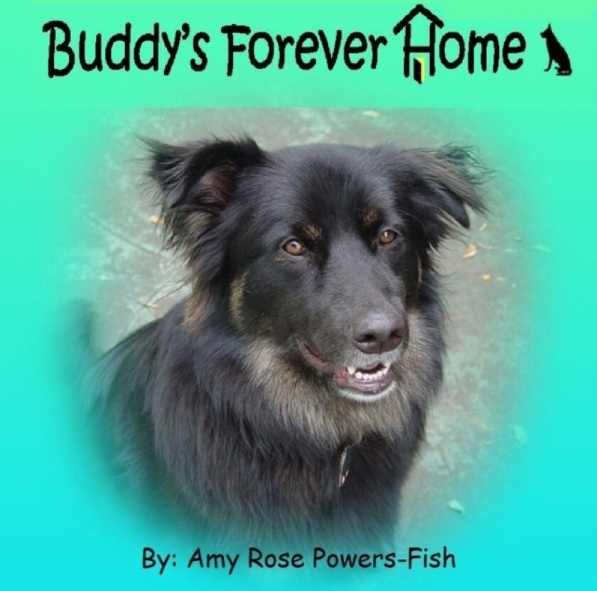 Buddy's Forever Home av Amy Rose Powers-Fish (Paperback)