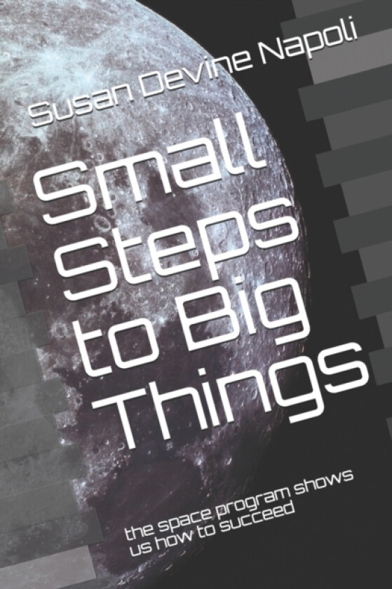 Small Steps to Big Things av Susan Devine Napoli (Paperback)