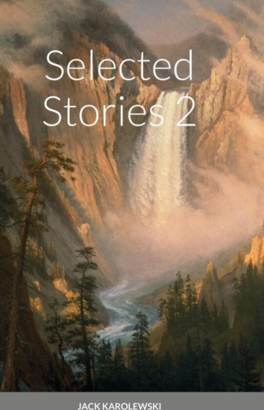 Selected Stories 2 av Jack Karolewski (Hardcover)