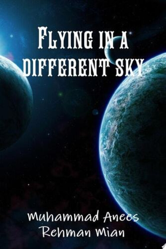 Flying in a Different Sky av Anees Rehman (Paperback)