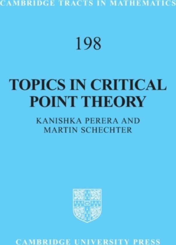Topics in Critical Point Theory av Kanishka Perera, Martin Schechter (Hardcover)