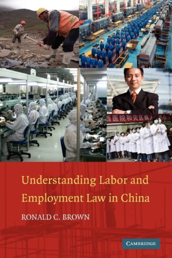 Understanding Labor and Employment Law in China av Ronald C. Brown (Paperback)