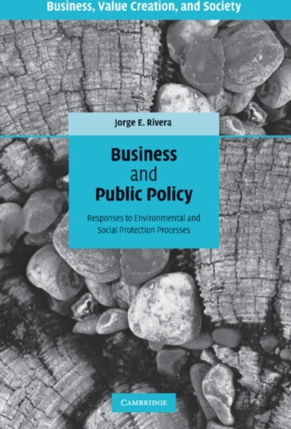 Business and Public Policy av Jorge E. Rivera (Paperback)