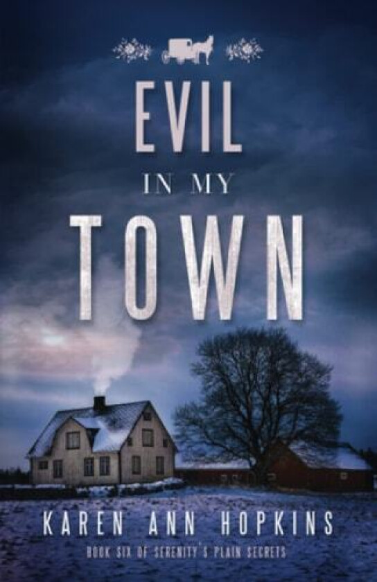 Evil in My Town av Karen Ann Hopkins (Paperback)