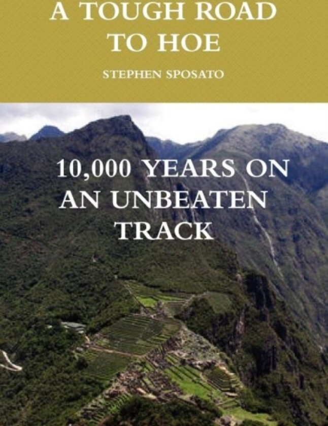 A Tough Road to Hoe av Stephen Sposato (Paperback)
