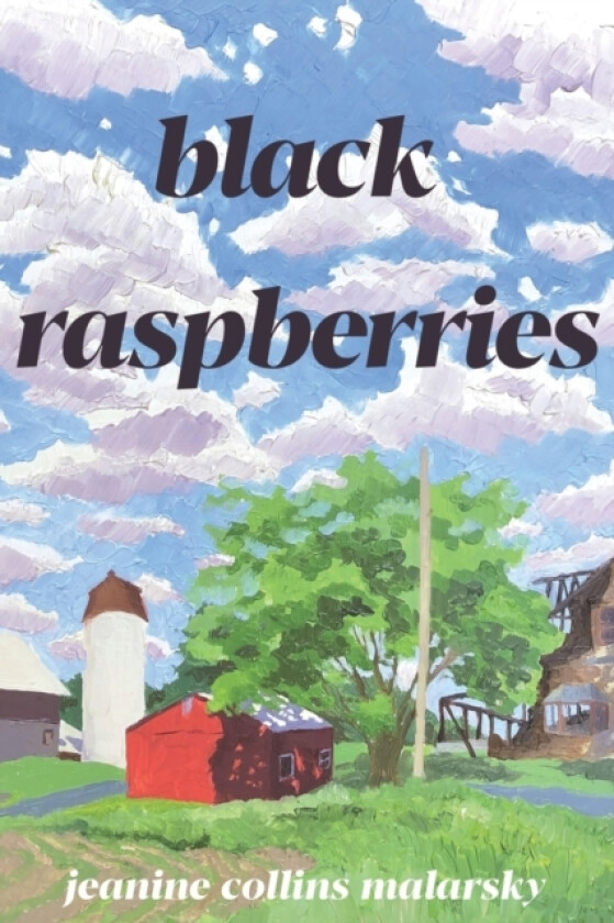 Black Raspberries av Jeanine Collins Malarsky (Paperback)