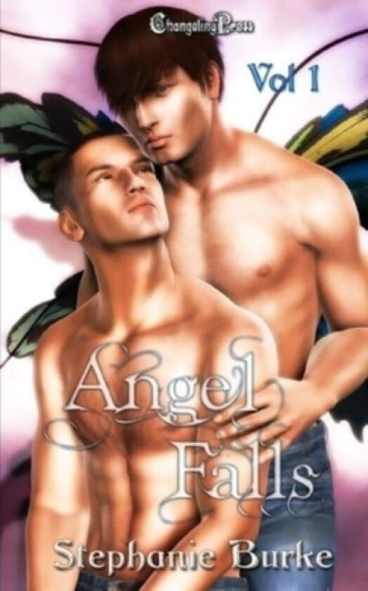 Angel Falls Vol. 1 av Stephanie Burke (Paperback)