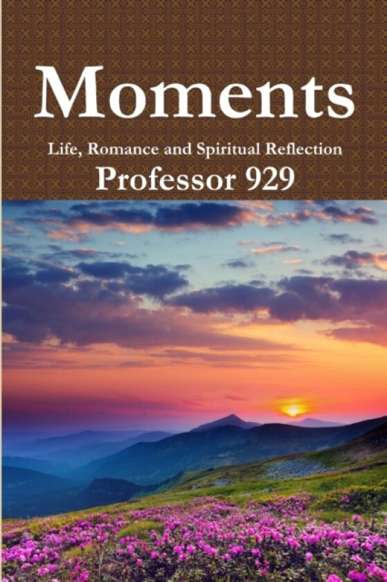 Moments av Professor 929 (Paperback)