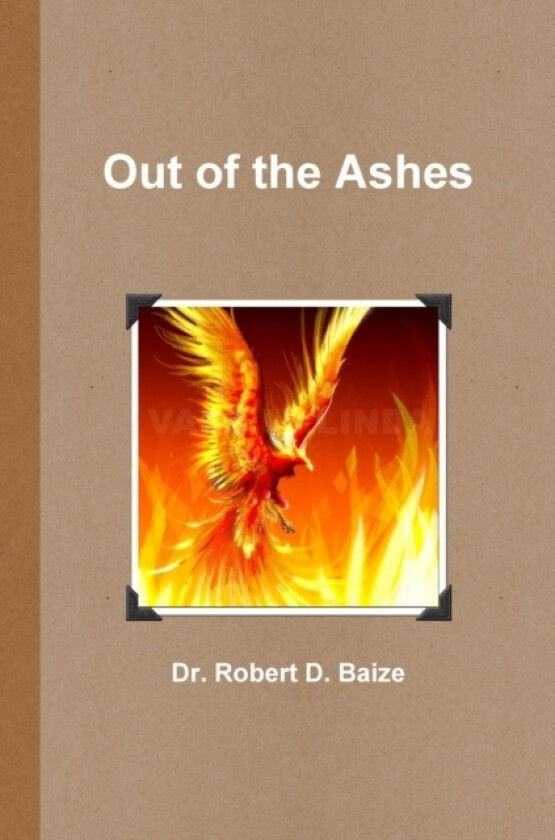Out of the Ashes av Dr.Robert D. Baize (Paperback)
