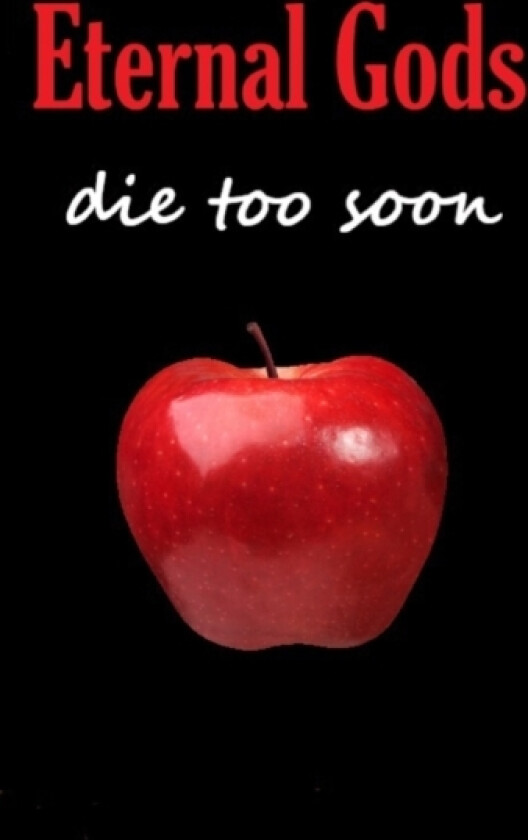 Eternal Gods Die Too Soon av Beka Modrekiladze (Paperback)