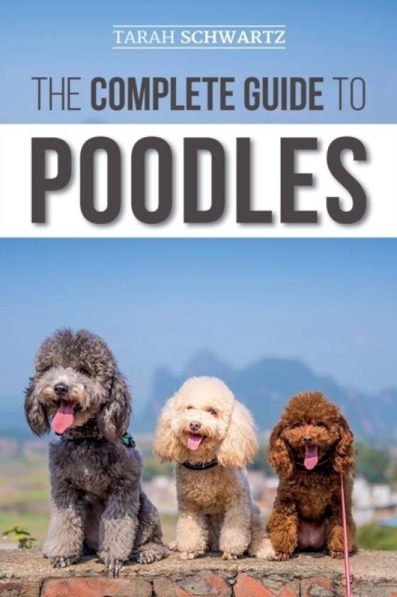 The Complete Guide to Poodles av Tarah Schwartz (Paperback)