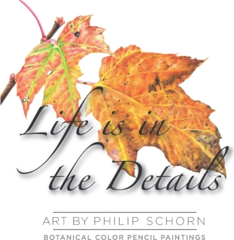 Life is in the Details av Philip Schorn (Paperback)