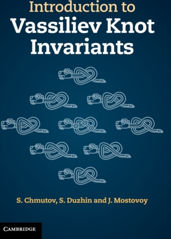 Introduction to Vassiliev Knot Invariants av S. Chmutov, S. Duzhin, J. Mostovoy (Hardcover)
