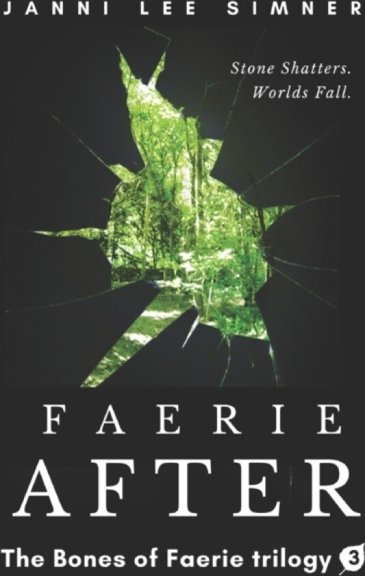 Faerie After av Janni Lee Simner (Paperback)
