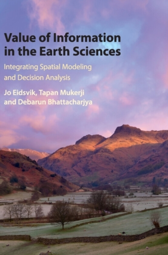 Value of Information in the Earth Sciences av Jo Eidsvik, Tapan Mukerji, Debarun Bhattacharjya (Hardcover)