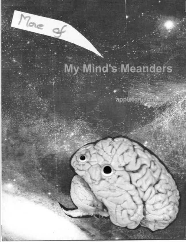 More Mind Meanders (Mine) av Appleton Schneider (Paperback)